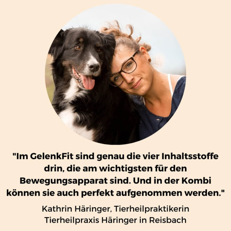 Dog Native Gelenk Fit Erfahrungen