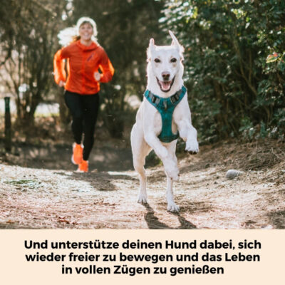 Mehr Bewegungsfreude durch GelenkFit