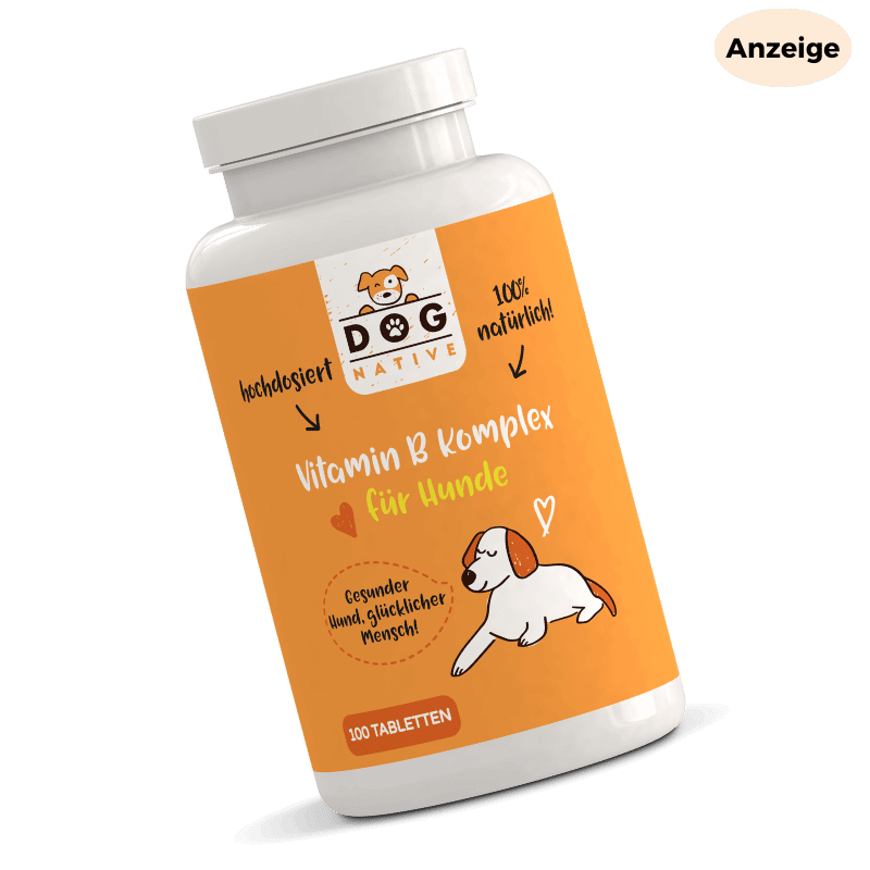 Dog-Native Vitamin B Komplex für Hunde