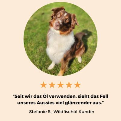 Dog-Native Wildfischöl Erfahrungen